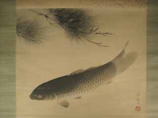 Antique Japanese Signed Scroll Hand Painted Koi Fish With Pine Tree