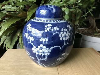Chinese Qing Blue And White Prunus Ginger Jar - Large 19cm,  With Lid