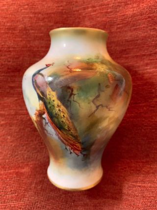 Antique Royal Worcester Peacock Vase Signed By John Flexman Hand Painted 1912