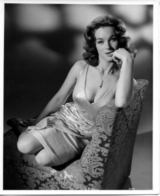 Shirley Ann Field Stunning Sultry Vintage Glamour Portrait 8x10 Photo