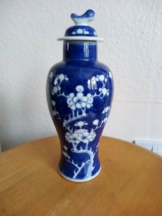 Qing ? 19 - 20th Century ? Blue & White Chinese Porcelain Prunus Lidded Vase.