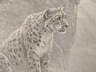 Snow Leopard - Robert Bateman 1986 Vintage Art Print Signed And Numbered