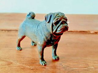 Antique Cold Painted Austrian Bronze Figure Sculpture Pug Dog Franz Bergman Type