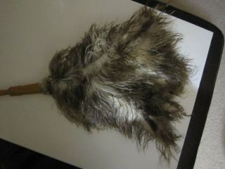 Vintage Ostrich Feather Duster 30  Long.  Wooden Handle - - Really Cool