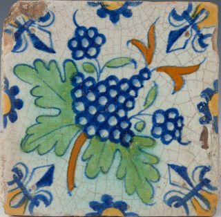 Dutch Delft Polychrome Tile,  Grapes,  Early 17th.  Century.