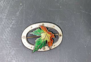 Vintage Sterling And Enamel Canada Maple Leaf Pin