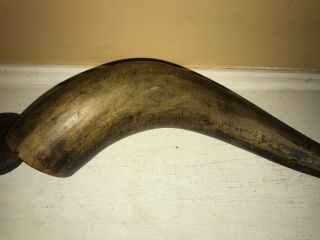 Antique American Powder Horn 1700s Octagonal Carved 13 "