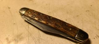 Vtg Unknown 3½ " Caramel Bone Serpentine Pen Pocket Knife Good Snap One Crack
