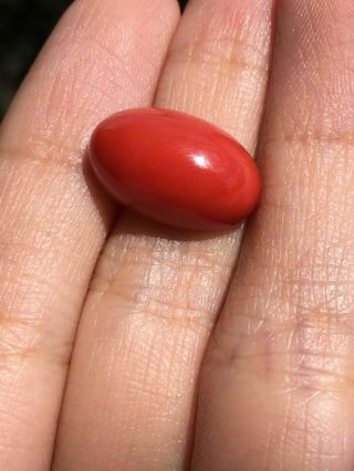 Antique Old Stock Natural Red Coral Cabochon Others Turqoise Gold Jewelry
