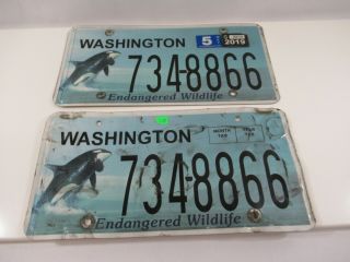 Washington State License Plate Wa Endangered Species Killer Whale Orca Pair