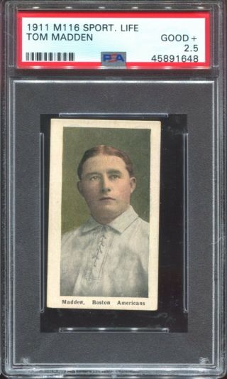 1911 M116 Sporting Life Tom Madden Psa 2.  5 Good,  Boston Red Sox