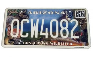 Arizona License Plate Conserving Wildlife Ocw4082,  Elk,  Deer,  Turkey,  Fish,  Duck