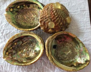 Four Vintage Footed Abalone Shell Trinket Dishes/ Bowls — Lucite Feet