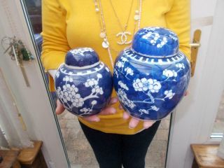 2 Antique Early 1900s Chinese Blue Prunus Lidded Ginger Jars In Lovely