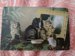Vintage Cat Postcard.  3 Kittens In A Dresser.  Mirror.  Tuck.  British.  Mailed.