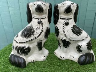 Pair: 19thc Large Staffordshire Seated Black & White Spaniel Dogs C1890s