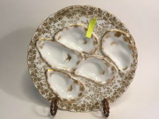 Antique French Gold trimmed Oyster Plate by Havilland & Co of Limoges c.  1880s 2
