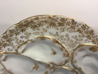 Antique French Gold trimmed Oyster Plate by Havilland & Co of Limoges c.  1880s 3