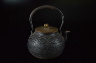 E9729: Japanese Iron Flower Sculpture Tea Kettle Teapot Tetsubin,  Shoundo Made