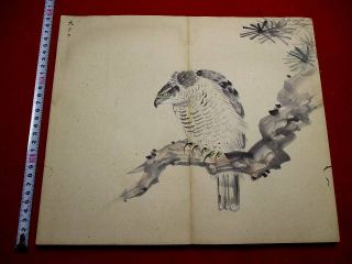 2 - 25 Japanese Bird Hand Drown Pictures Book