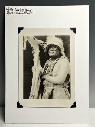 Vtg B/w Photograph White Deer Dance Costume Hupa Native American Edward Curtis