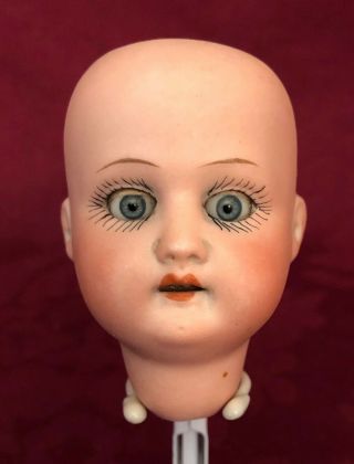 Antique German Bisque Doll Head - Ernst Heubach Mold 250