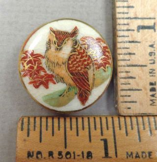 Satsuma Vintage Painted Porcelain Button,  Owl On Branch,  Mid 1900s,  1 "