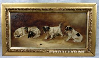 Antique Oil Painting On Canvas 4 Terrier Puppies Dog Gold Gesso Frame English