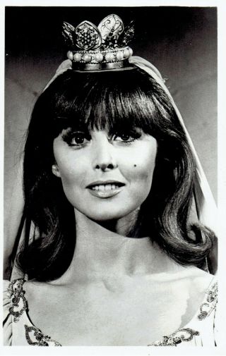 1966 Vintage Photo Actress Tina Louise Poses For " Gilligan 