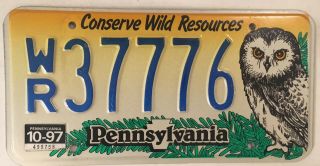 Pennsylvania Conserve Wild Resources Owl License Plate Animal Bird Park Nature