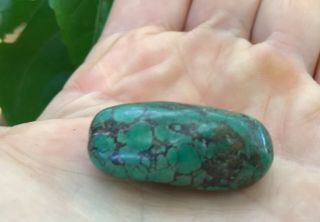Antique Tibetan Turquoise Bead - Himalayan - 12.  5 grams - 3.  75 2