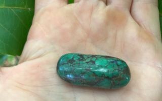 Antique Tibetan Turquoise Bead - Himalayan - 12.  5 grams - 3.  75 3