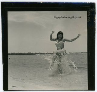 Bunny Yeager Vintage Bettie Page Photograph 1954 Beaming Pin - Up Pose Beach Fun