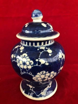 Fine Antique Chinese Kangxi Porcelain Blue & White Prunus Lidded Vase 1.