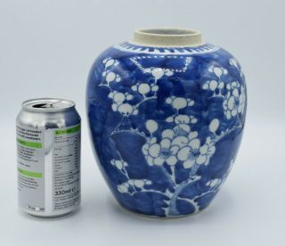 18thc Antique Chinese Porcelain Blue And White Prunus Ginger Jar Vase