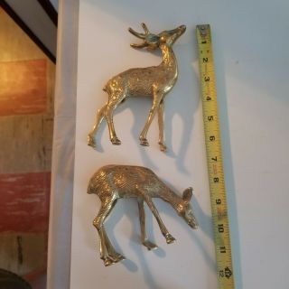 Vintage Small Brass Deer Buck & Doe Figurines,  Cabin Decor,  Brass Collectible 3
