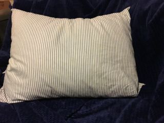 Vintage Duck Feather Pillow Down Standard Blue White Striped Tick Usa