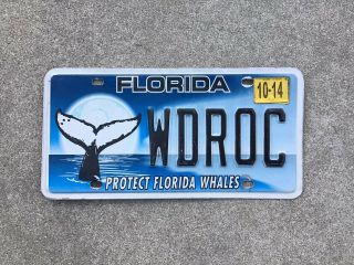 Florida - " Protect Florida Whales " - License Plate