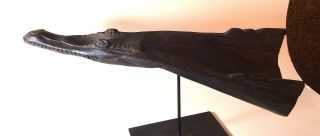 Crocodile Prow From Papua - Guinea Canoe,  Hand - Carved