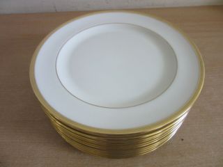 12 Antique Lenox Gold Design Rim Salad Plates Parmelee Dohrmann Co 8.  5 "