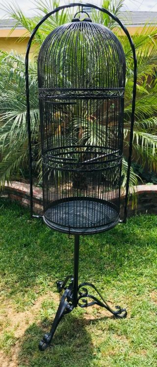 Large Antique Parrot Wrought Iron Cage For African Grey Or Amazonian Parrots