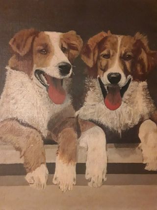 2 Collies Dog Antique Oil Painting On Canvas F.  Weber Philadelphia C.  1900 Ex