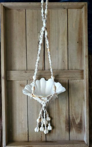 Sea Shell Hanging Flower Pot Plant Hanger Beach Vintage With Seashell 20 "