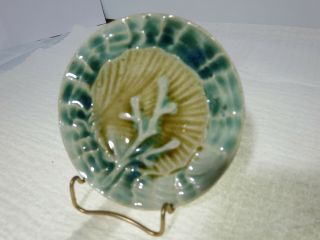 Antique Majolica Butter Pat Shell And Seaweed 3 " English 1880s Green Tan