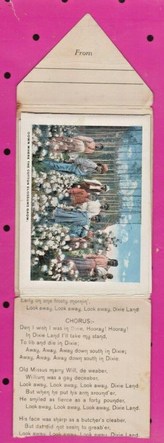 Vintage 1917 Dixie Souvenir Folder - Sunny South Typical Views - Cotton is King 3