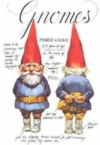 Gnomes Hardcover 1977 Book Rien Poortvliet/huygen Harry Abrams Vintage