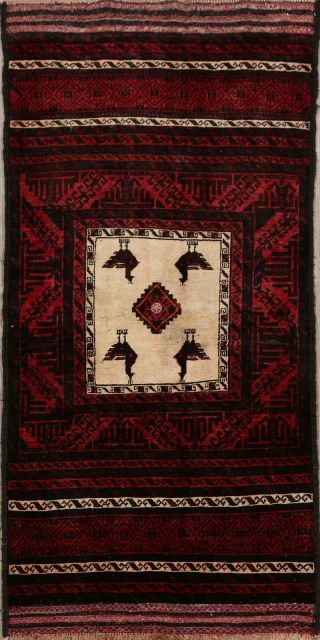 Geometric Balouch Oriental Hand - Knotted Area Rug Animal Design Wool 3 