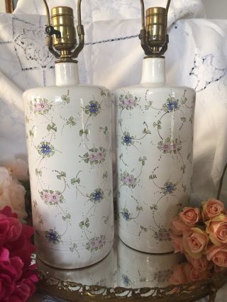 Antique Faience Lamps,  Tin Glaze,  Hand Painted,  Italian,  Flowers