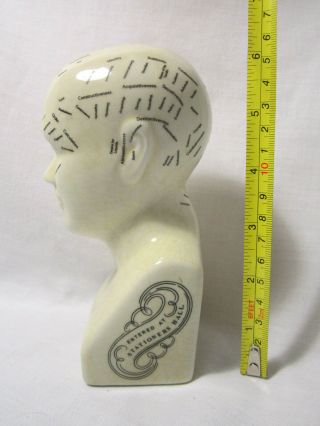 Vintage L.  N.  Fowler Phrenology Head Porcelain Bust Statue
