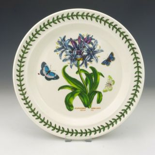 Vintage Portmeirion Pottery Botanic Garden - 10½ " Dinner Plate - Lovely